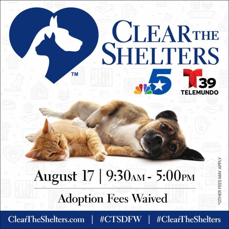 It's Time to Clear the Shelters Addison Texas